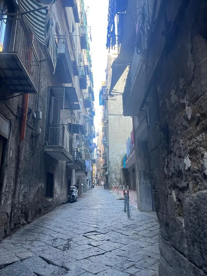 Lacasinadisofisa Apartment Naples Italy
