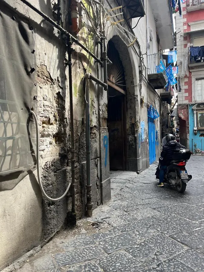 Lacasinadisofisa Apartment Naples Italy